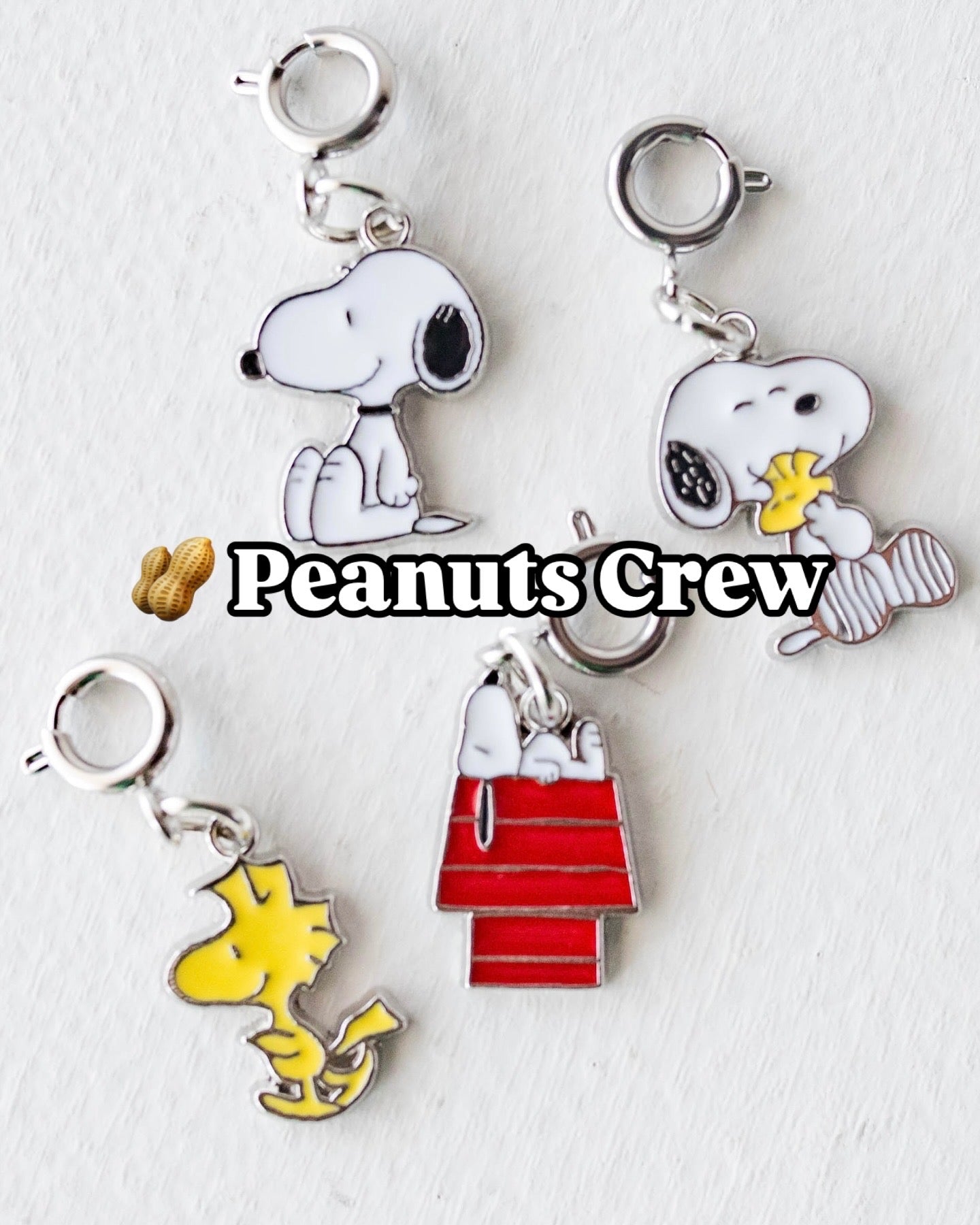 πΎ Peanuts Crew Charms
