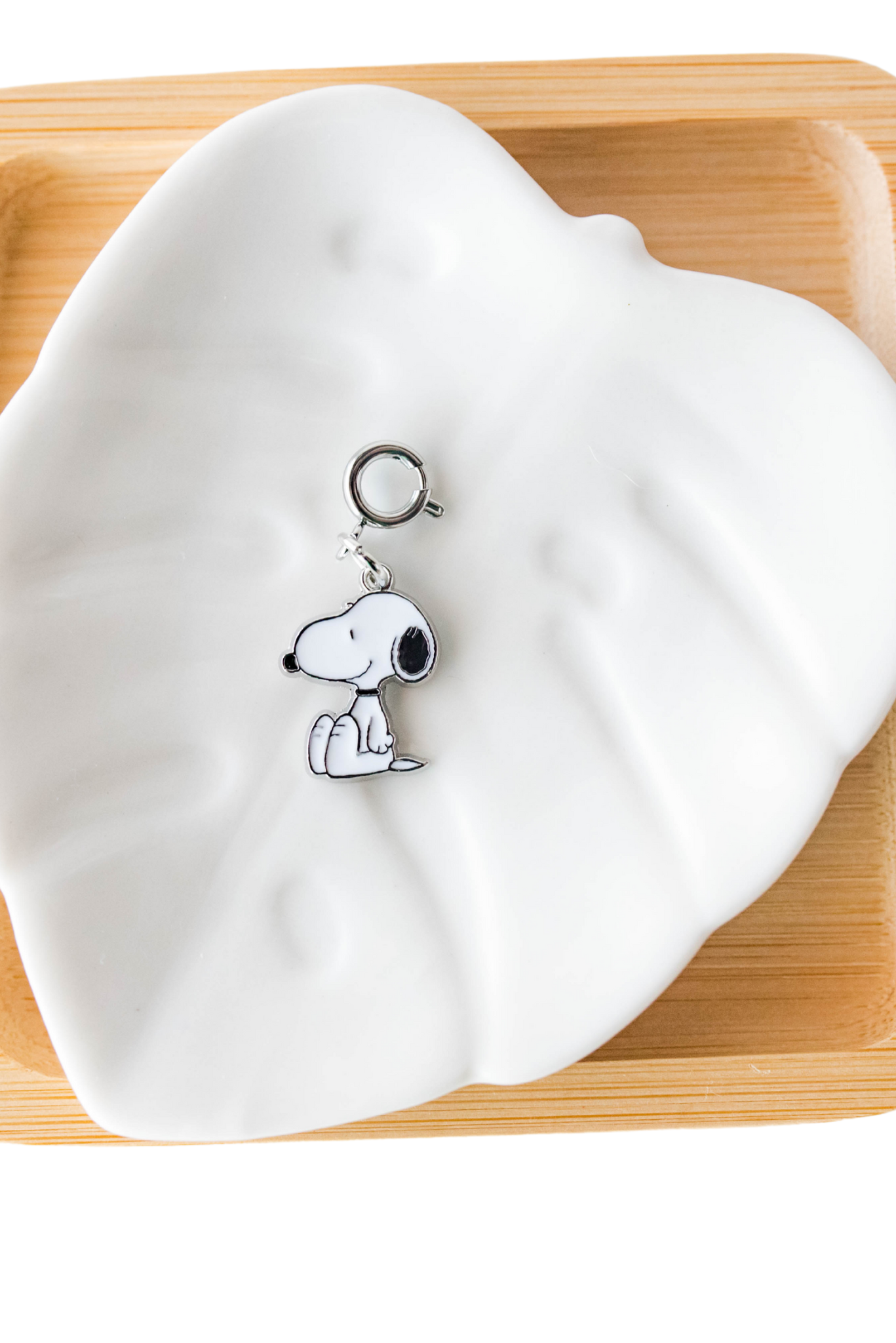 πΎ Peanuts Crew Charms