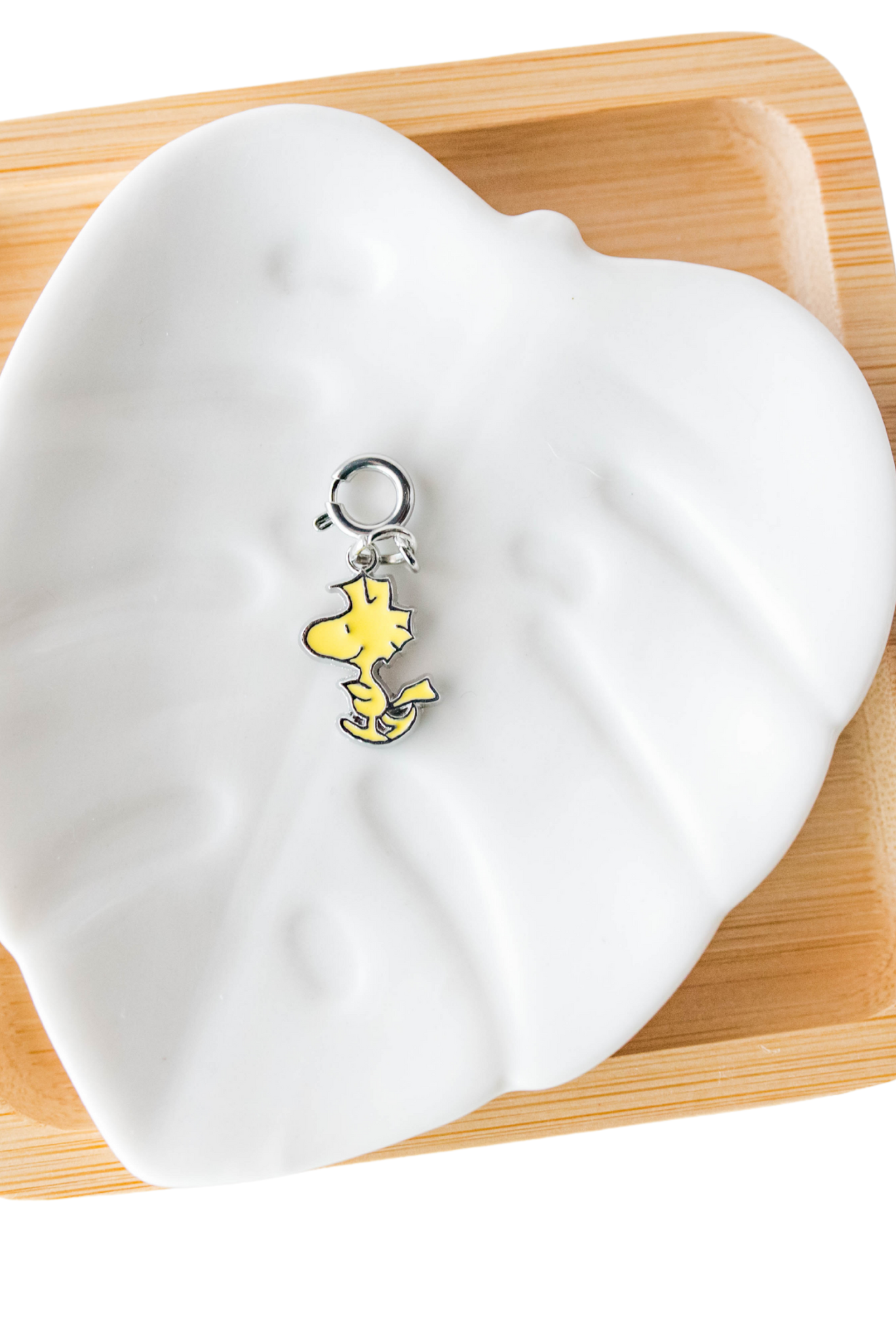 πΎ Peanuts Crew Charms
