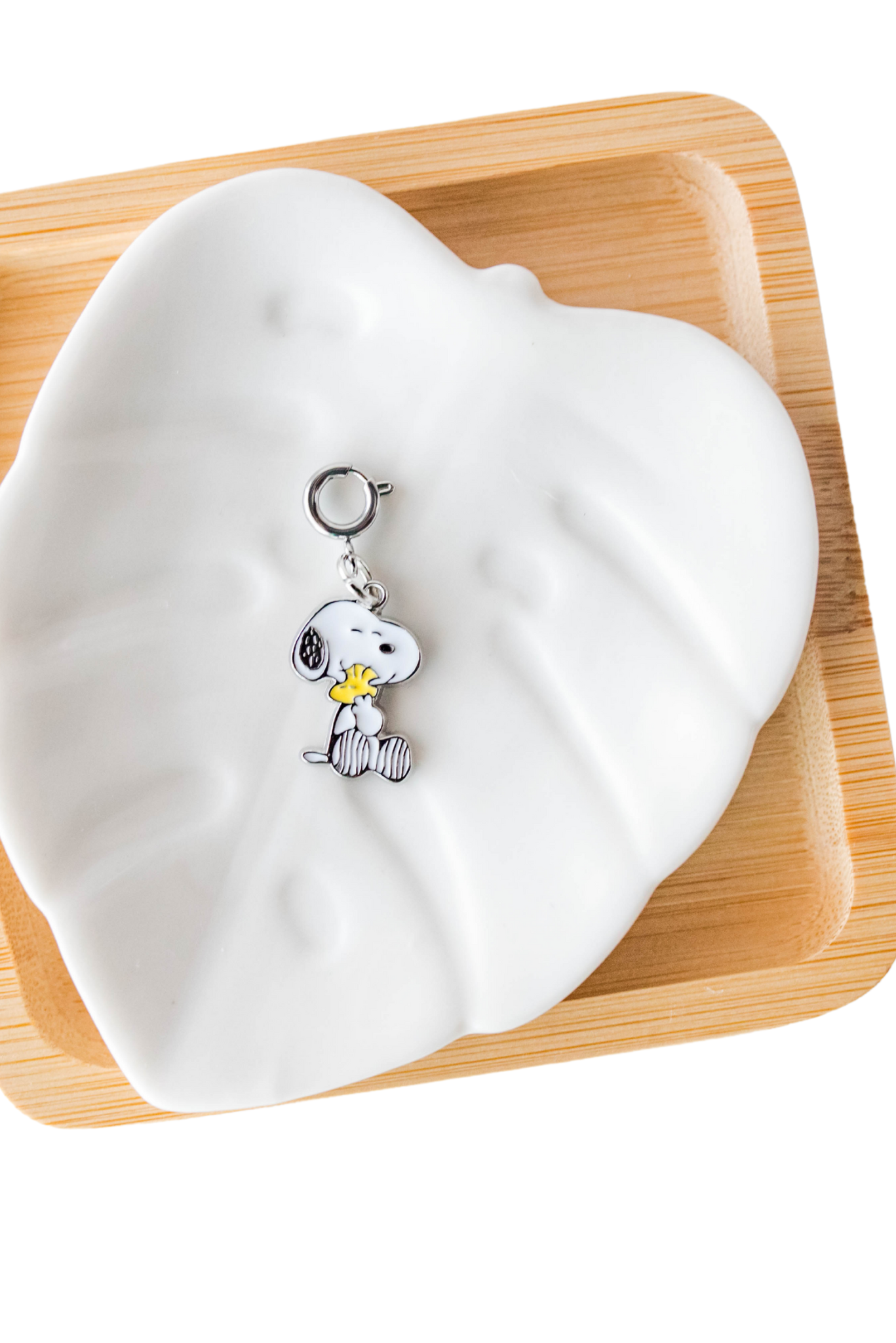 πΎ Peanuts Crew Charms